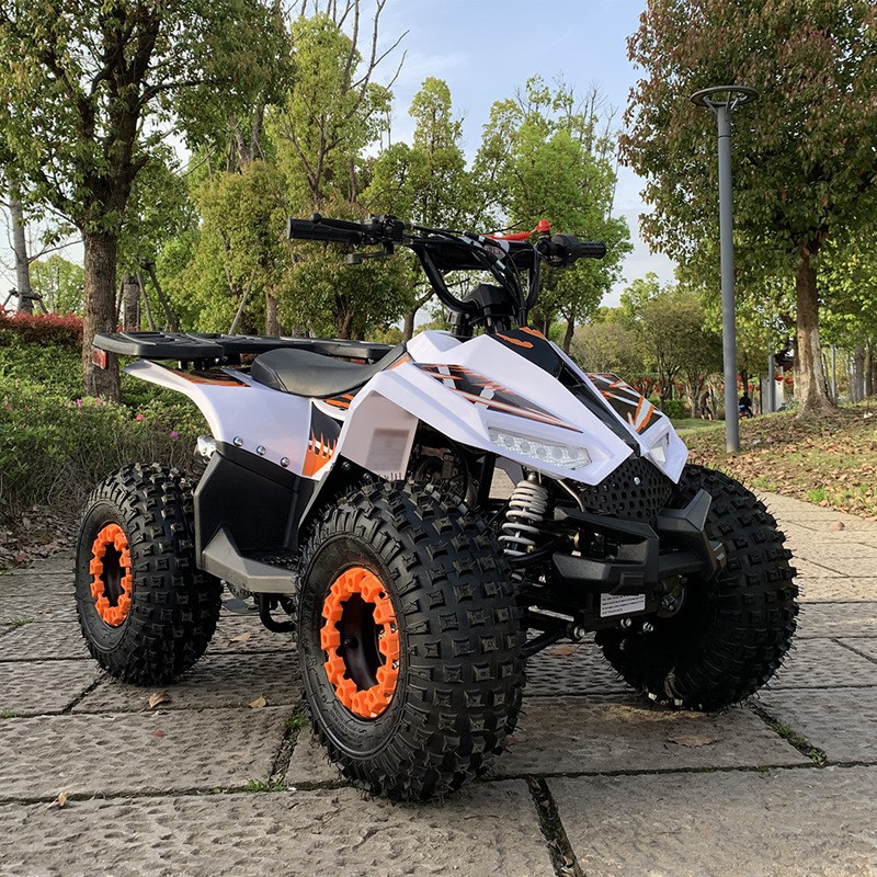 Outdoor Adventure Quad Biking - 125CC ATV, Kleine Falcon All-Terrain Vehicle,