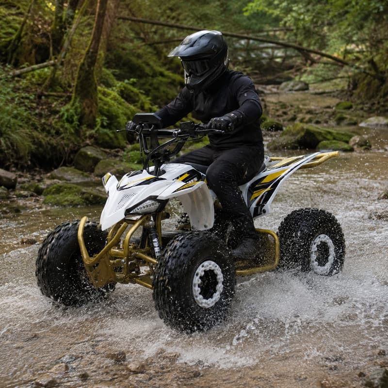 Outdoor Adventure Quad Biking - Volwassen Dune Buggy, op maat gemaakte