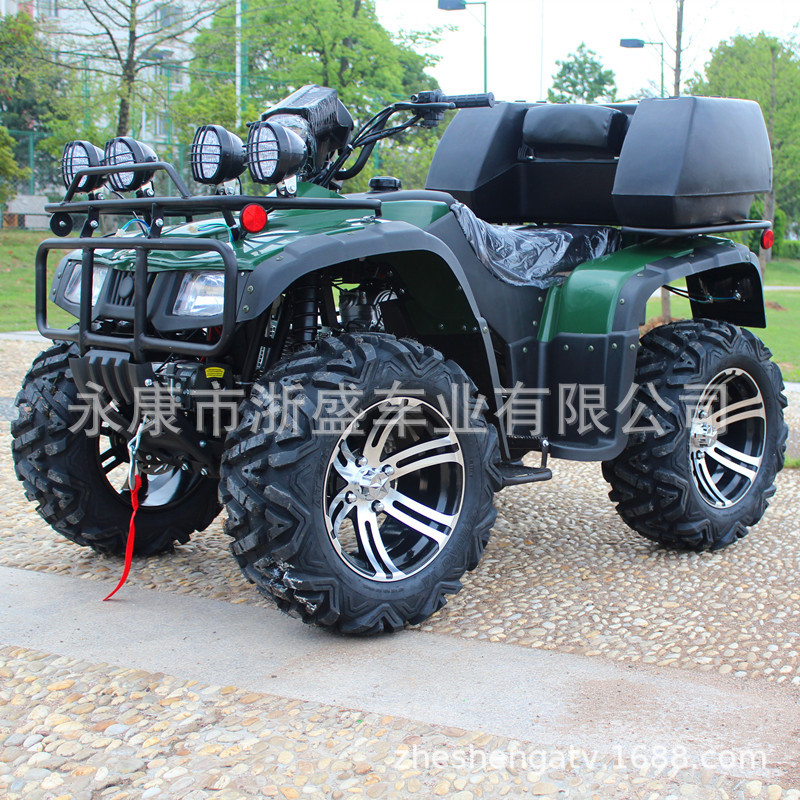 Outdoor Adventure Quad Biking - ATV 250cc, 4-wiel aangedreven terreinwagen, off-road