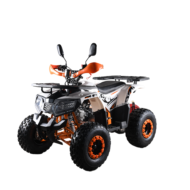 110cc CE EPA ATV Quad voor vol - Outdoor Adventure Quad Biking recensie en prijs