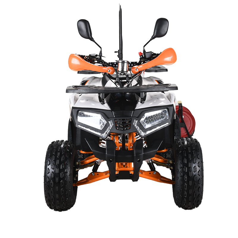 110cc CE EPA ATV Quad voor vol - Outdoor Adventure Quad Biking recensie en prijs
