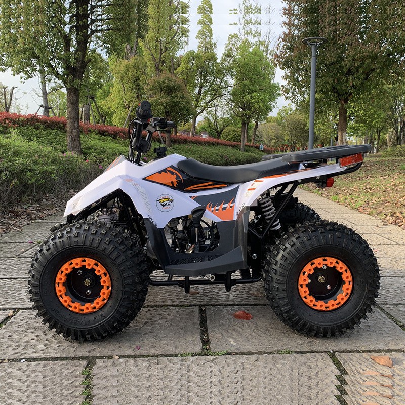 125CC ATV, Kleine Falcon All-T - Outdoor Adventure Quad Biking recensie en prijs