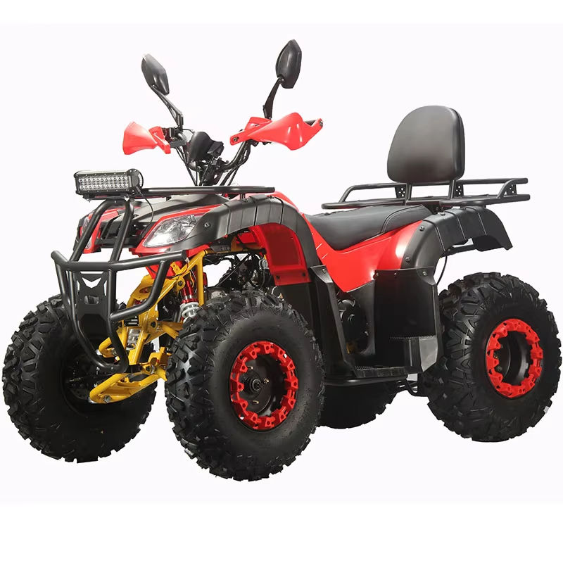 Volwassen Dune Buggy, op maat  - Outdoor Adventure Quad Biking recensie en prijs