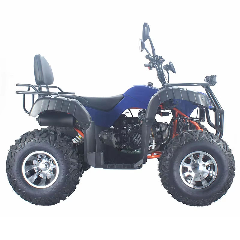 Race-geschikte volwassen duinb - Outdoor Adventure Quad Biking recensie en prijs
