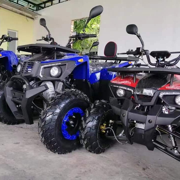 All Terrain Zandbuggy 200CC GY - Outdoor Adventure Quad Biking recensie en prijs