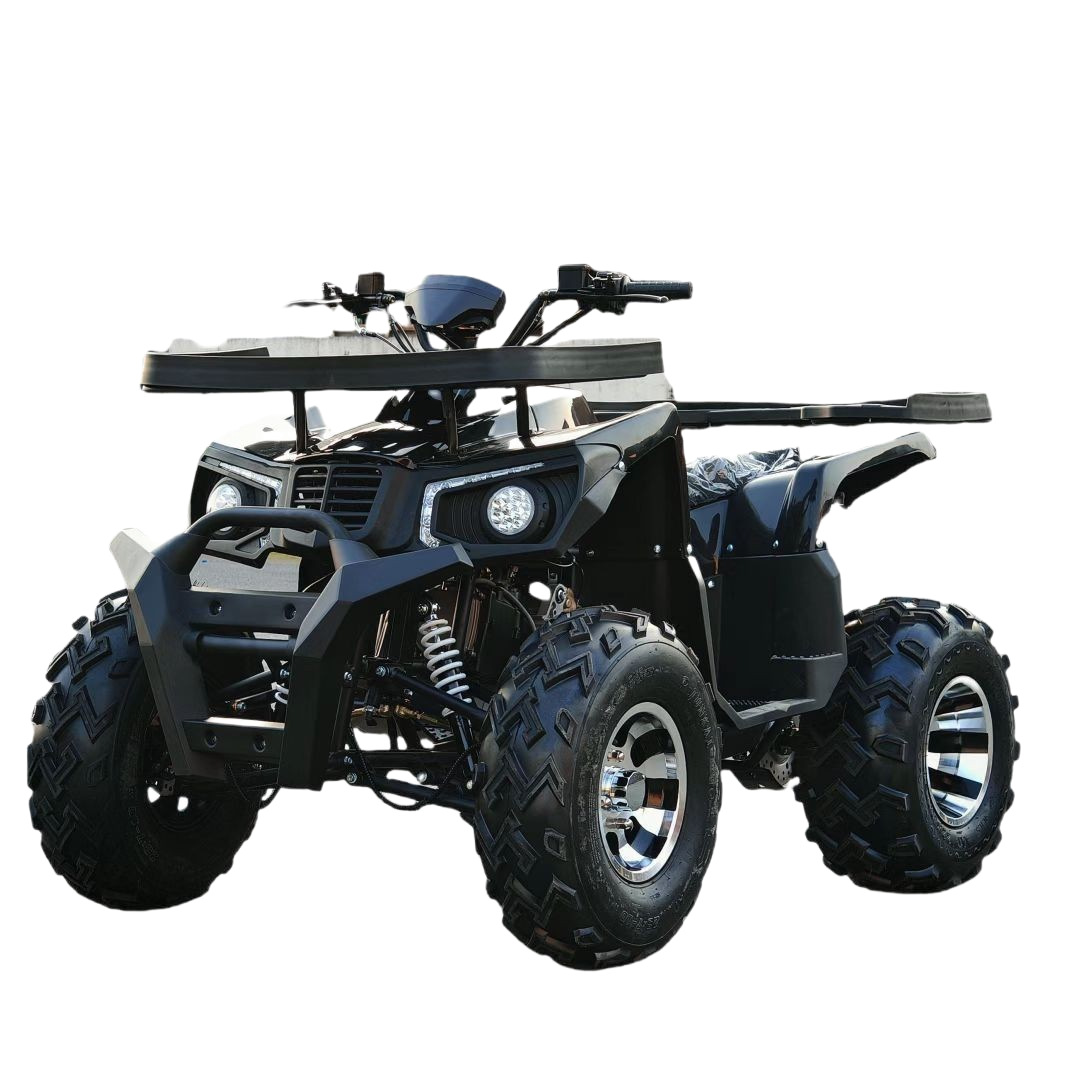 All Terrain Zandbuggy 200CC GY - Outdoor Adventure Quad Biking recensie en prijs